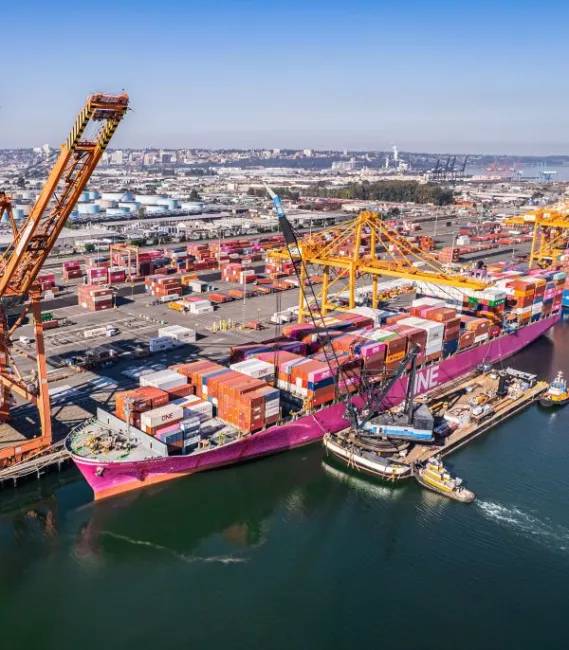 South Wind ocean freight